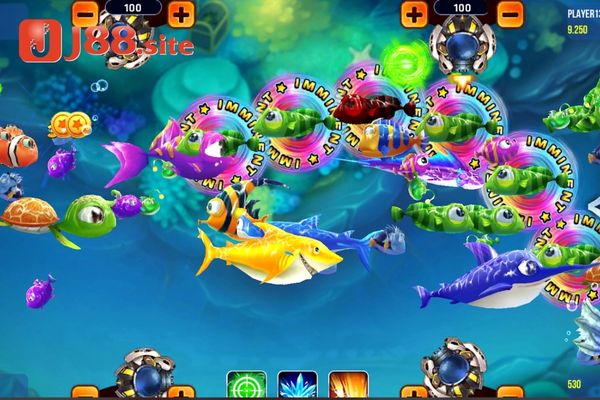 Hướng dẫn game thủ nhận code vua hải tặc bắn cá Hướng dẫn game thủ nhận code vua hải tặc bắn cá