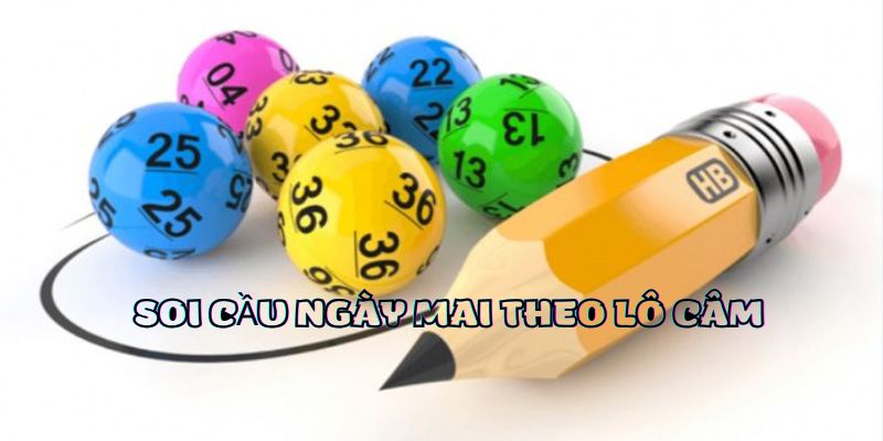 Soi cầu ngày mai đánh số mấy theo lô câm